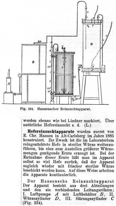 Reinzucht nach Hansen 1885